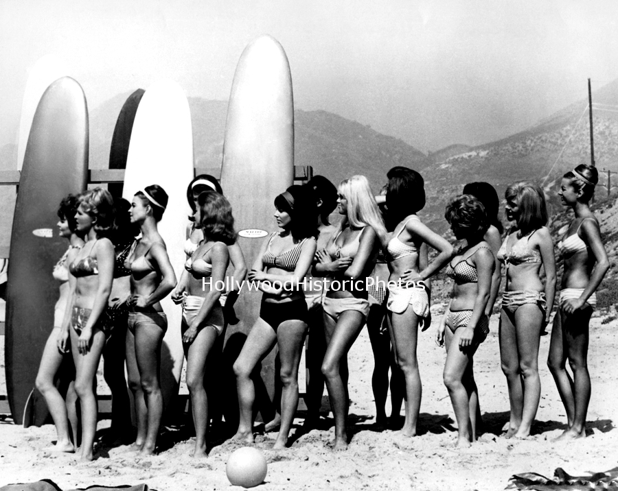Wild Bikinis, 1965.jpg
